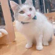 ヒメ日記 2025/10/28 16:39 投稿 桜井 ひなた カサノヴァ