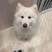 ヒメ日記 2025/10/31 02:09 投稿 桜井 ひなた カサノヴァ