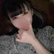 ヒメ日記 2025/11/19 11:39 投稿 桜井 ひなた カサノヴァ