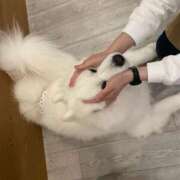 桜井 ひなた さいしゅう カサノヴァ