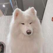 桜井 ひなた 🎅 カサノヴァ