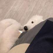 ヒメ日記 2026/02/10 23:49 投稿 桜井 ひなた カサノヴァ