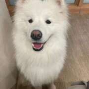 ヒメ日記 2026/02/14 19:29 投稿 桜井 ひなた カサノヴァ