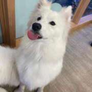 ヒメ日記 2026/03/01 10:29 投稿 桜井 ひなた カサノヴァ