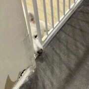 ヒメ日記 2026/04/03 10:29 投稿 桜井 ひなた カサノヴァ