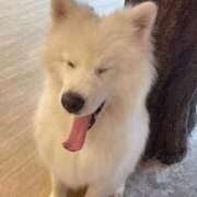 桜井 ひなた 🎂 カサノヴァ