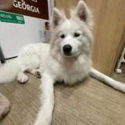 桜井 ひなた (՞ . .՞) カサノヴァ