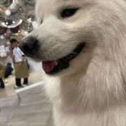 ヒメ日記 2026/05/17 21:30 投稿 桜井 ひなた カサノヴァ