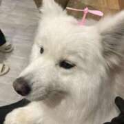 桜井 ひなた (  ´˘`  ) カサノヴァ
