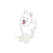 桜井 ひなた ૮₍ ̥⎽ ̫ ⎽ ̥₎ა カサノヴァ