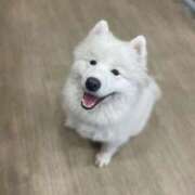 ヒメ日記 2026/07/29 13:49 投稿 桜井 ひなた カサノヴァ