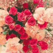 ヒメ日記 2025/06/03 10:43 投稿 しおり【スタンダード】 博多の熟女