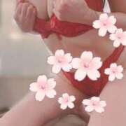 ヒメ日記 2025/04/12 15:02 投稿 エレナ REDROOM (レッドルーム)