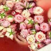 ヒメ日記 2025/09/22 10:05 投稿 桃井なぎさ 熟女パラダイス岐阜店（カサブランカグループ）