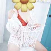 ヒメ日記 2025/11/04 17:30 投稿 桃井なぎさ 熟女パラダイス岐阜店（カサブランカグループ）