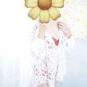 ヒメ日記 2025/11/07 12:41 投稿 桃井なぎさ 熟女パラダイス岐阜店（カサブランカグループ）