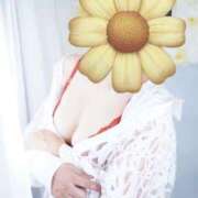 ヒメ日記 2026/01/18 16:02 投稿 桃井なぎさ 熟女パラダイス岐阜店（カサブランカグループ）