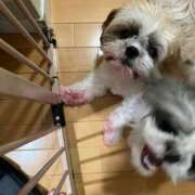 ヒメ日記 2025/08/23 17:25 投稿 ジュリア Sabbat(サバト)