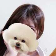 ヒメ日記 2025/04/04 20:28 投稿 ゆう Paradis-パラディ-