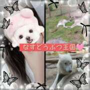 ヒメ日記 2025/06/03 17:48 投稿 ゆう Paradis-パラディ-