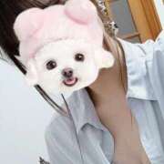 ヒメ日記 2025/06/14 10:58 投稿 ゆう Paradis-パラディ-