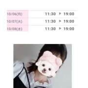 ヒメ日記 2025/10/06 06:58 投稿 ゆう Paradis-パラディ-