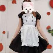 ヒメ日記 2025/10/20 15:58 投稿 ゆう Paradis-パラディ-