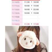 ヒメ日記 2025/11/10 07:38 投稿 ゆう Paradis-パラディ-