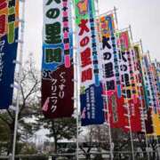 ヒメ日記 2026/04/09 17:33 投稿 七葉(ななは)奥様 金沢の20代30代40代50代が集う人妻倶楽部