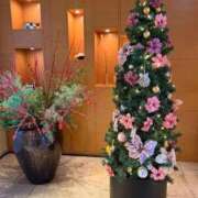 ヒメ日記 2025/12/19 19:05 投稿 みみ ごほうびSPA広島店