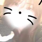 ヒメ日記 2025/04/05 17:48 投稿 ふたば めっちゃスイスク京都店