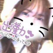 ヒメ日記 2025/05/10 15:15 投稿 ふたば めっちゃスイスク京都店