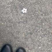 ヒメ日記 2025/03/30 12:05 投稿 さな 横浜シンデレラ（シンデレラグループ）