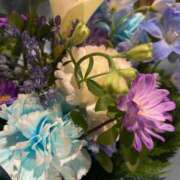 ヒメ日記 2025/06/07 14:00 投稿 さな 横浜シンデレラ（シンデレラグループ）