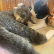 ヒメ日記 2025/10/10 13:59 投稿 さな 横浜シンデレラ（シンデレラグループ）