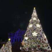 ヒメ日記 2025/12/18 15:15 投稿 さな 横浜シンデレラ（シンデレラグループ）