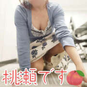 ヒメ日記 2025/04/26 14:17 投稿 桃瀬 変態美熟女お貸しします。