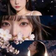 ヒメ日記 2026/03/12 12:28 投稿 小松あまね ウルトラロイヤル