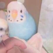 ヒメ日記 2025/06/14 17:39 投稿 新人ゆうき34歳 夫を卒業する人妻たち