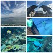 ヒメ日記 2025/11/11 17:14 投稿 新人ゆうき34歳 夫を卒業する人妻たち