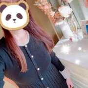 ヒメ日記 2025/11/14 08:55 投稿 新人ゆうき34歳 夫を卒業する人妻たち