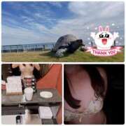 ヒメ日記 2025/11/14 19:25 投稿 新人ゆうき34歳 夫を卒業する人妻たち