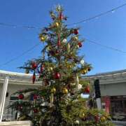 ヒメ日記 2025/12/08 23:56 投稿 新人ゆうき34歳 夫を卒業する人妻たち