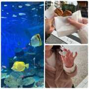 ヒメ日記 2026/01/16 14:27 投稿 新人ゆうき34歳 夫を卒業する人妻たち