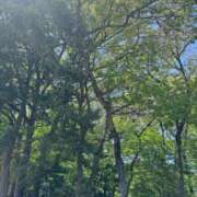 ヒメ日記 2026/04/16 15:58 投稿 新人ゆうき34歳 夫を卒業する人妻たち