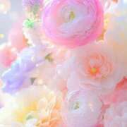 ヒメ日記 2026/04/19 14:22 投稿 新人ゆうき34歳 夫を卒業する人妻たち