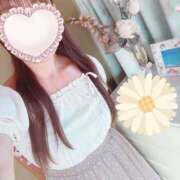 ヒメ日記 2026/06/12 08:38 投稿 新人ゆうき34歳 夫を卒業する人妻たち