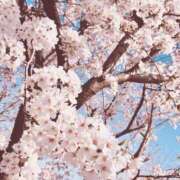 ヒメ日記 2025/04/13 08:11 投稿 みおん X-PARTY