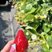 みおん 🐈💕 X-PARTY