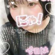 ヒメ日記 2025/08/19 13:17 投稿 もも ふわふわコレクション川越店